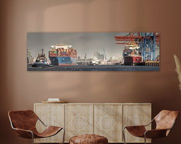 Havenpanorama van Hamburg met containerschepen en herkenningspunten van Jonas Weinitschke