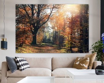 wonderful autumn by Els Fonteine
