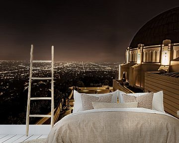 Los Angeles vom Griffith Observatory aus gesehen von Wim Slootweg