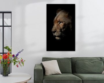 Löwin mit geschlossenen Augen von Lynlabiephotography