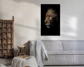 Löwin mit geschlossenen Augen von Lynlabiephotography