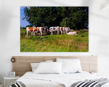 Cows gather behind the trees in the meadow