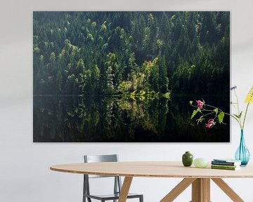 Forêt mixte sombre avec des éclaircies de soleil unique avec reflet dans le lac sur Hans-Heinrich Runge