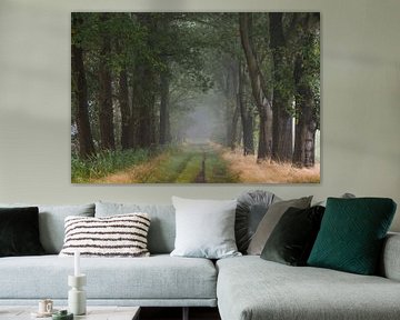 Allee von Bäumen im Wald mit Nebel von Jan Roos