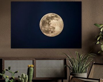 Vollmond in der dunklen Winternacht von Sjoerd van der Wal Fotografie