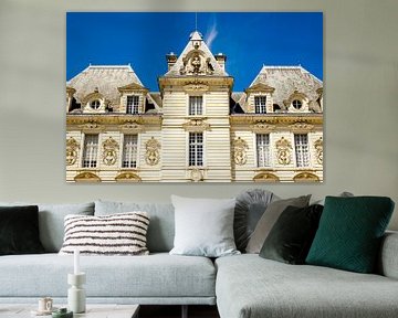 Gevel kasteel Cheverny Loire Frankrijk van Dieter Walther