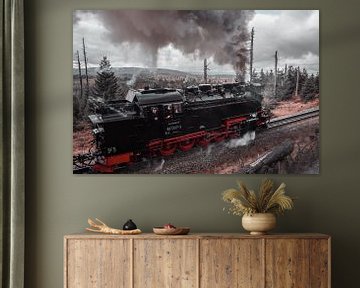 Dampflokomotive Harz Duisland Herbst von Shorty's adventure