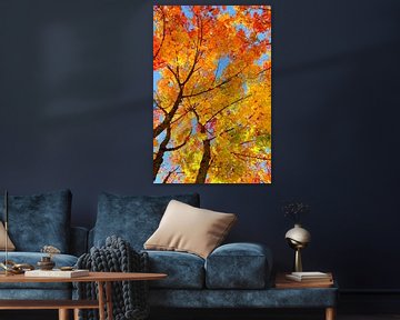 autumn colours by Corinne Welp
