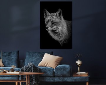 Füchse: Robustes Porträt eines Fuchses in schwarz-weiß