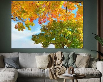 Herfstkleuren