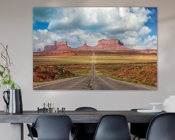 Highway to Monument Valley von Ilya Korzelius
