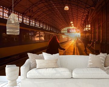 Silhouetten van reizigers op treinstation tijdens zonsondergang van Rob Kints