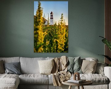 De lente bloeit rondom de vuurtoren van Alnes, Godøy, Noorwegen van qtx