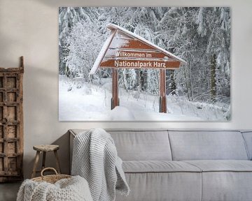 Winter im Harz Nationalpark von Peter Eckert