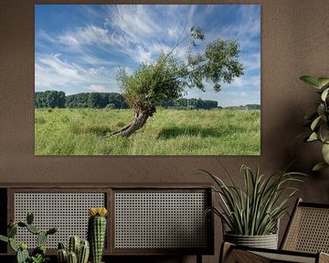 Landschaft am Niederrhein von Peter Eckert