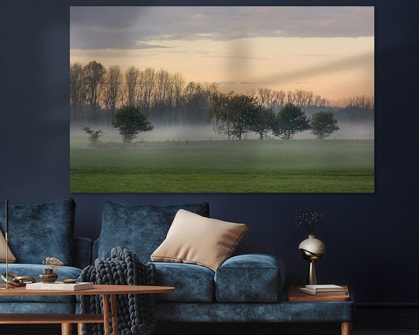 Trees in field with morning mist