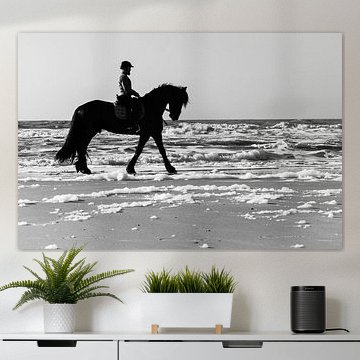 Ruiter op Friesch paard