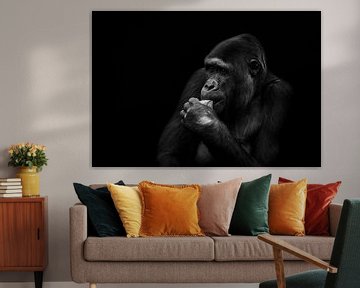 Gorilla op zwarte achtergrond van Thomas Marx