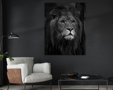 Afrikaanse leeuw (b/w.) van Wouter Van der Zwan