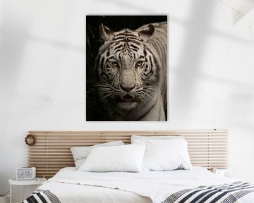 witte tijger. van Wouter Van der Zwan