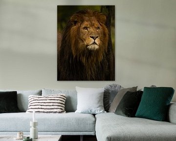 Afrikaanse leeuw van Wouter Van der Zwan