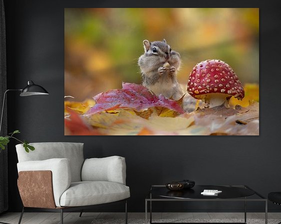 Aperçu de la chambre