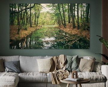 Het blauwe meer in Drenthe van Laura van Grinsven