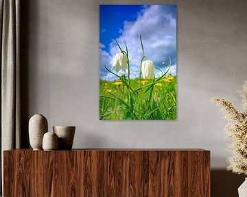 Schachblume auf einer Frühlingswiese von Sjoerd van der Wal Fotografie