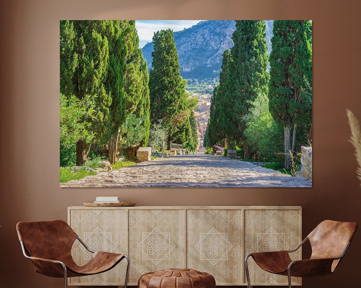 Aperçu de la chambre