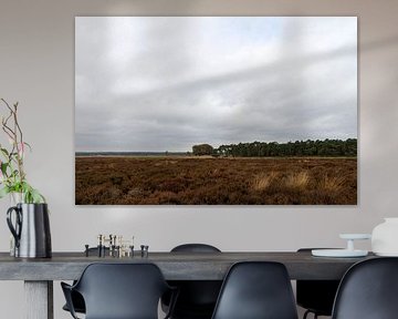 Hoge Veluwe