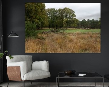 Hoge Veluwe