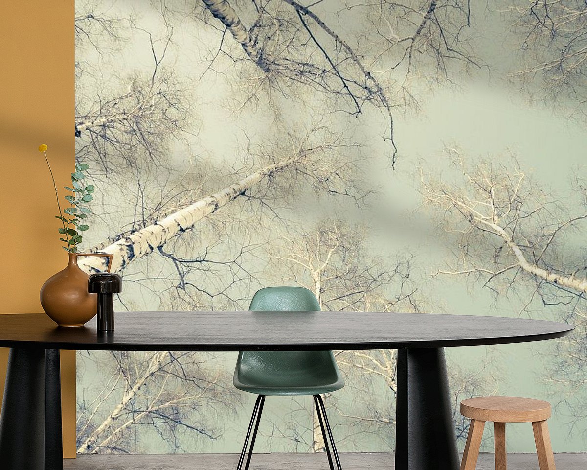 Raumvorschau