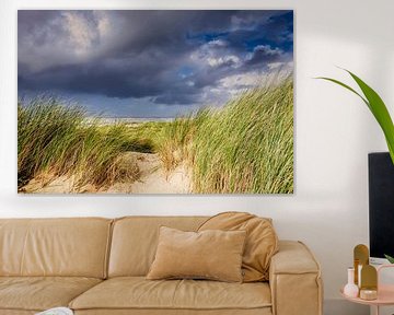 Noord-Hollandse kust met het duin in het najaar van eric van der eijk