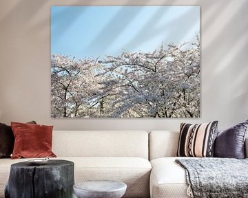 Blossom tree with backlight by Marit Hilarius