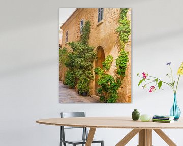 Typical house at the old town of Alcudia on Majorca island, Spain by Alex Winter