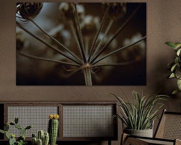 Fertige Pflanze in braun-grauen Sepia-Tönen von KB Design & Photography (Karen Brouwer)