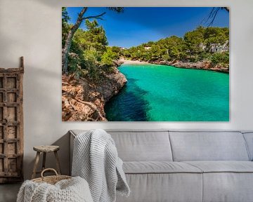Idyllische Strandbucht von Cala Serena, Insel Mallorca, Spanien von Alex Winter