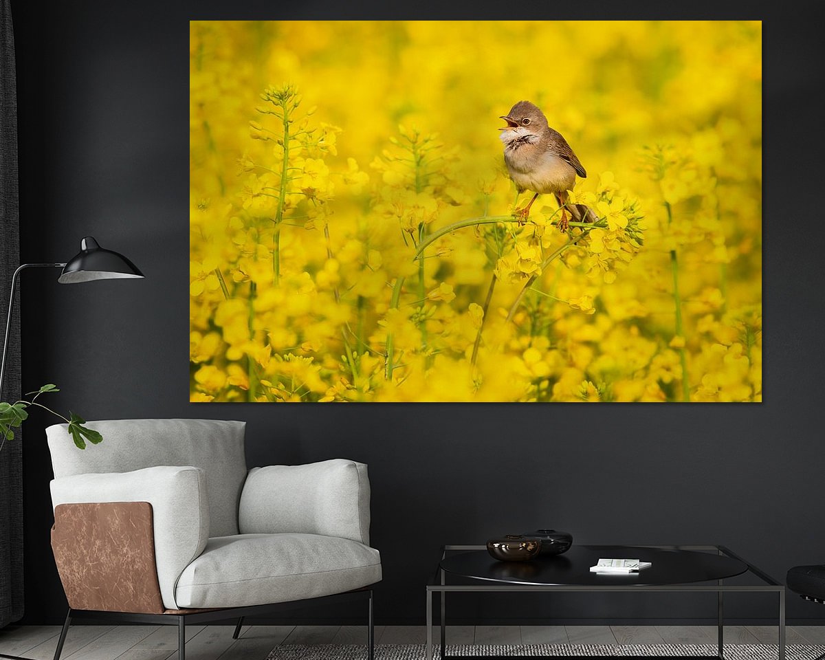 Voorbeeld van het werk in een kamer