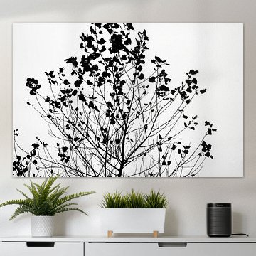 Zwart wit herfst boom