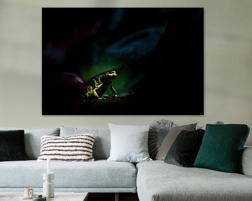 Frog by Hennie Zeij
