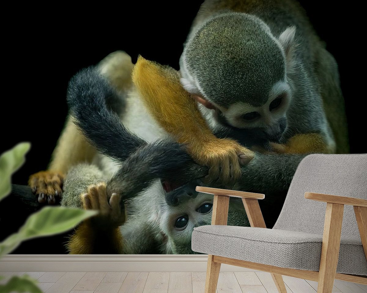 Raumvorschau