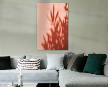 Schatten von Olivenblättern auf einer korallenroten Wand von Henrike Schenk