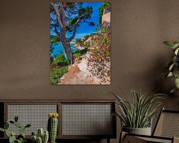 Baie côtière à Canyamel Majorque Espagne, îles Baléares sur Alex Winter