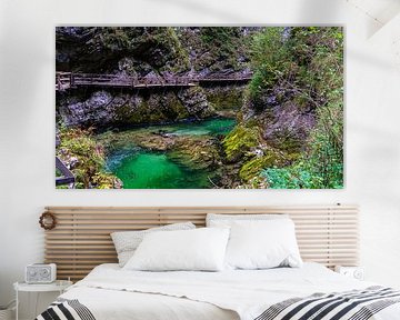 Fluss Radovna in der Vintgar-Schlucht (Slowenien) von Jessica Lokker