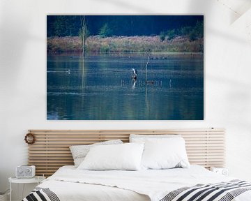 Grey Heron in the middle of the lake by FotoGraaGHanneke
