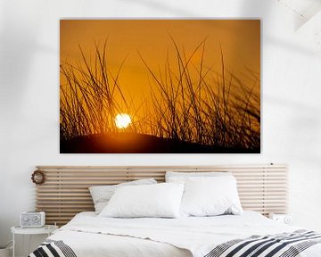 Sonnenaufgang hinter den Dünen von Stephan Zaun
