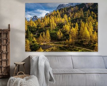 Gouden Lariks bomen art van Richard Kalkman fotografie