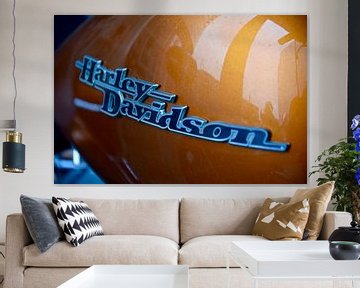 Amerikaans motoricoon Harley Davidson
