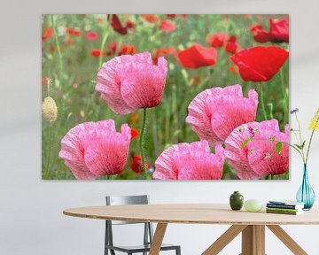 Roze en rode klaprozen (poppies) van Tineke Visscher