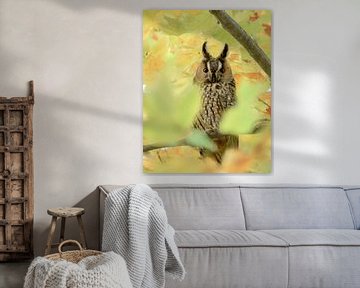 Long-eared owl by Nienke Bot